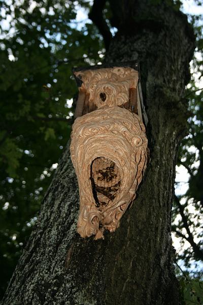 Hochwasser20070822 0013.JPG